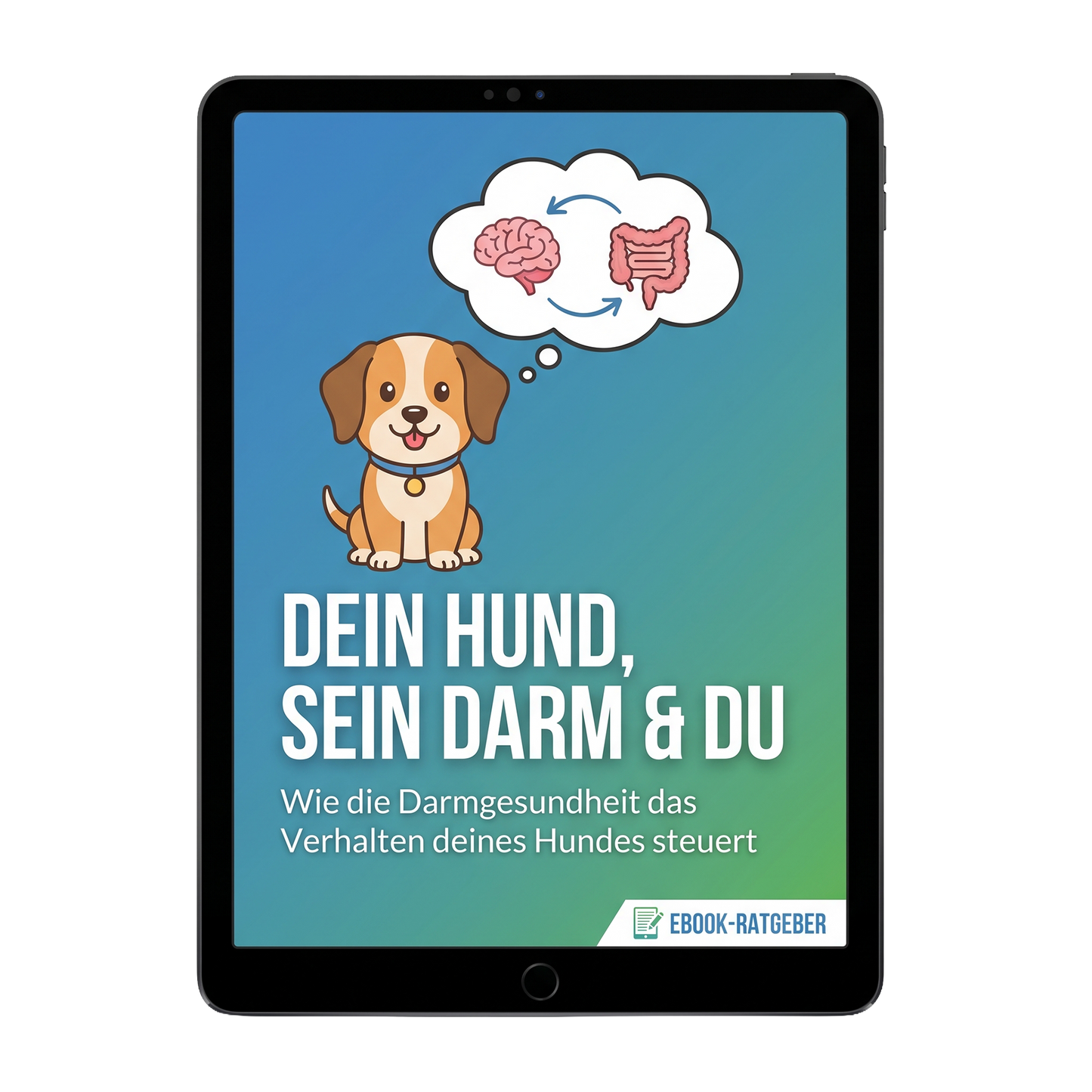 E-Book
