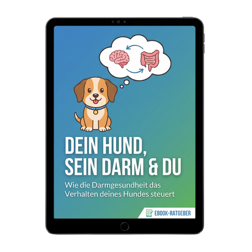 E-Book