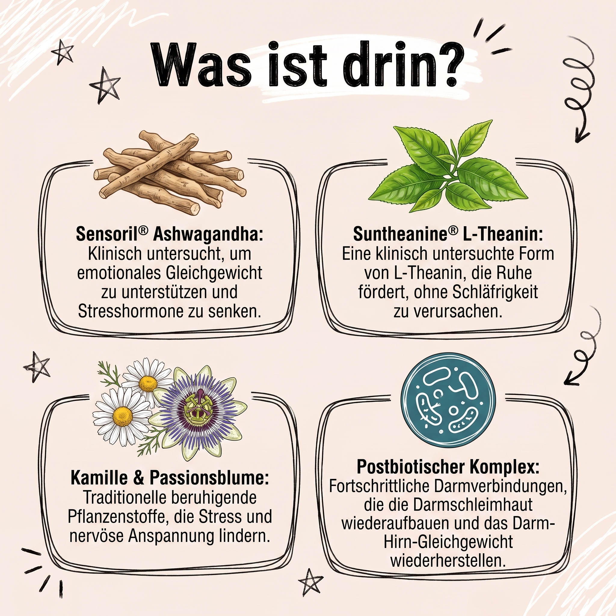 ZenPfoten Postbiotische Kausnacks